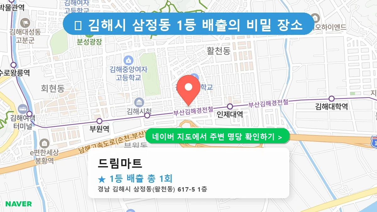 드림마트 네이버 지도