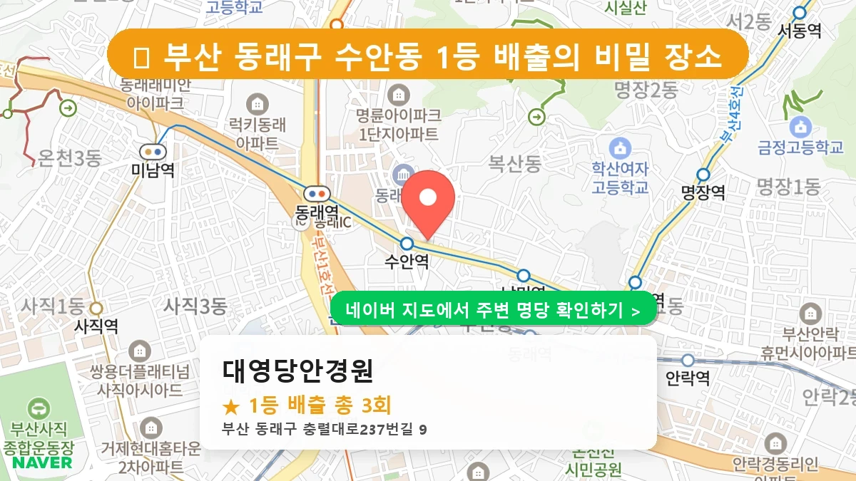 대영당안경원 네이버 지도