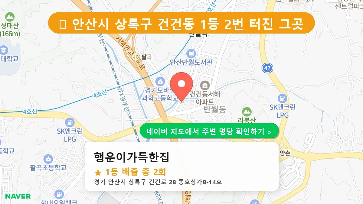 행운이가득한집 네이버 지도