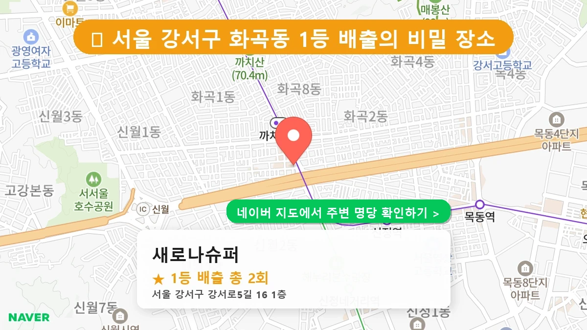 새로나슈퍼 네이버 지도
