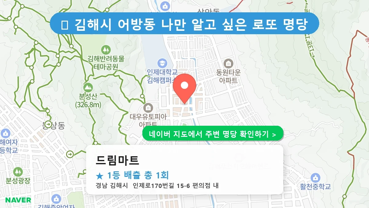 드림마트 네이버 지도