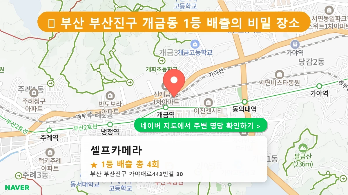 셀프카메라 네이버 지도