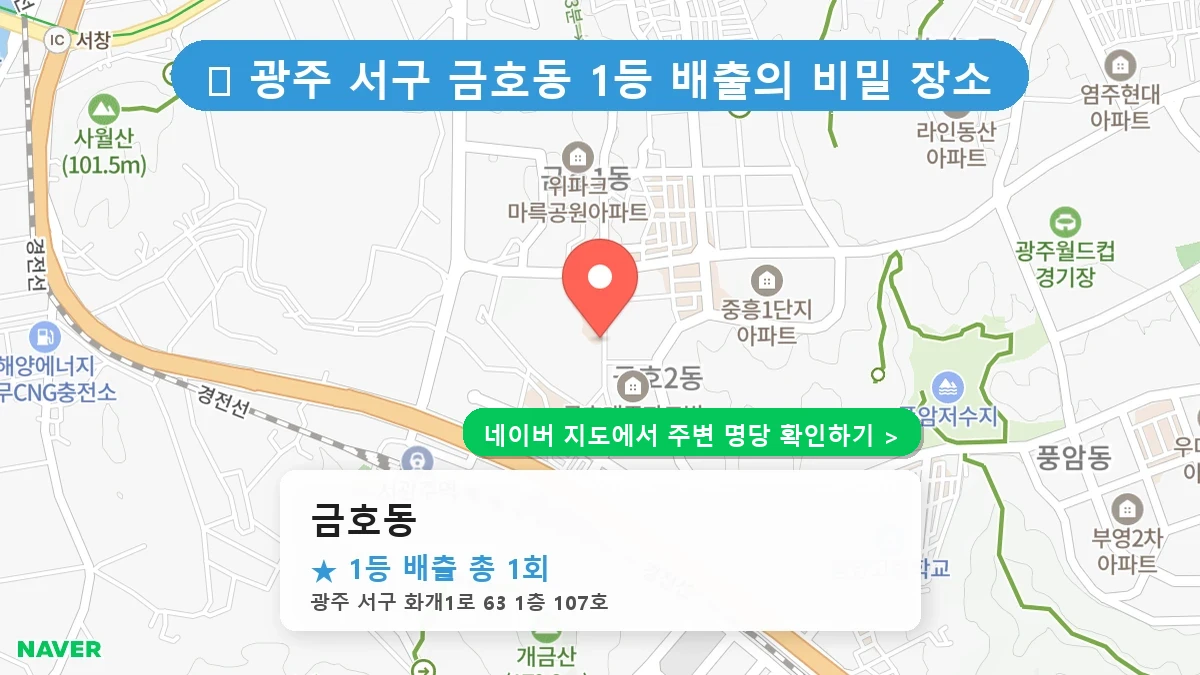금호동 네이버 지도