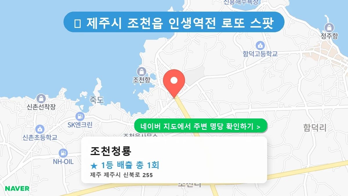 조천청룡 네이버 지도