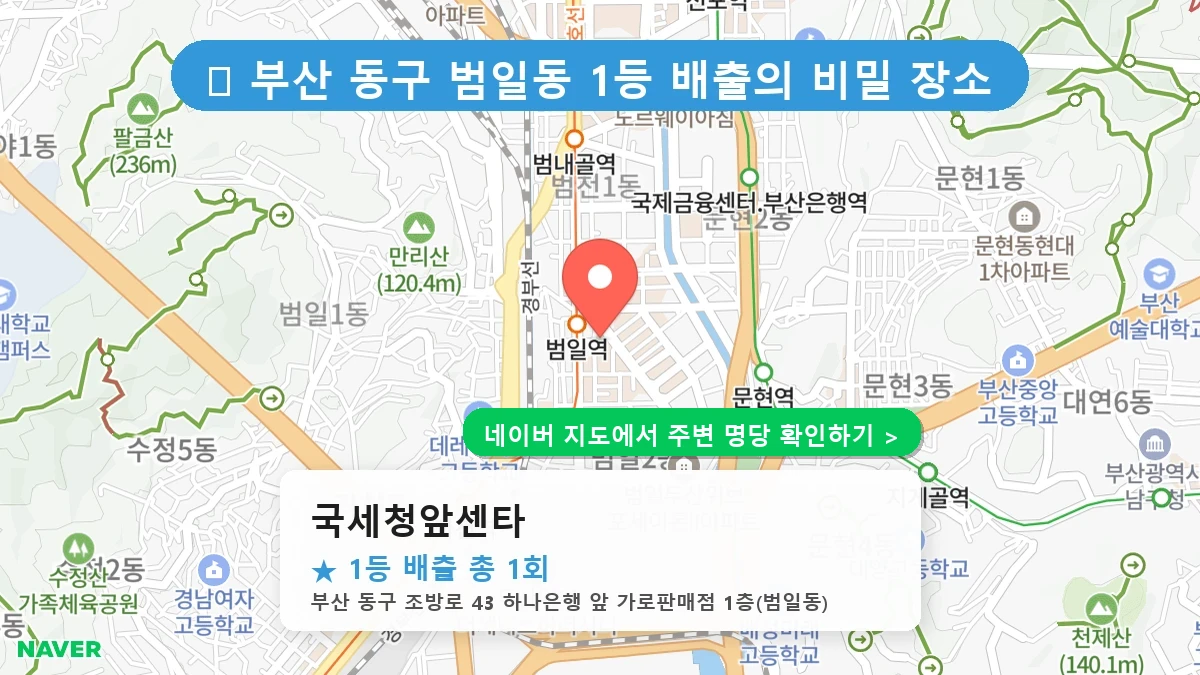 국세청앞센타 네이버 지도