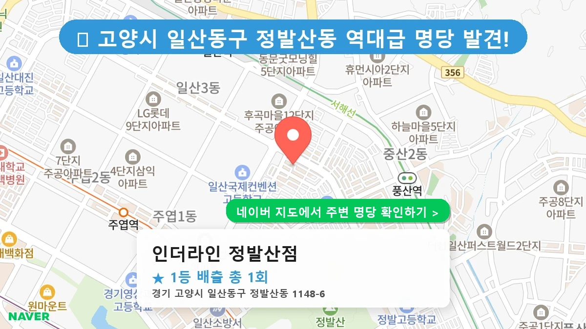 인더라인 정발산점 네이버 지도