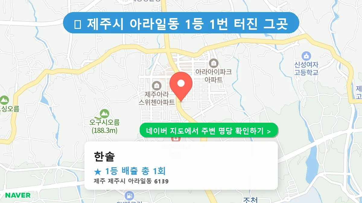 한솔 네이버 지도