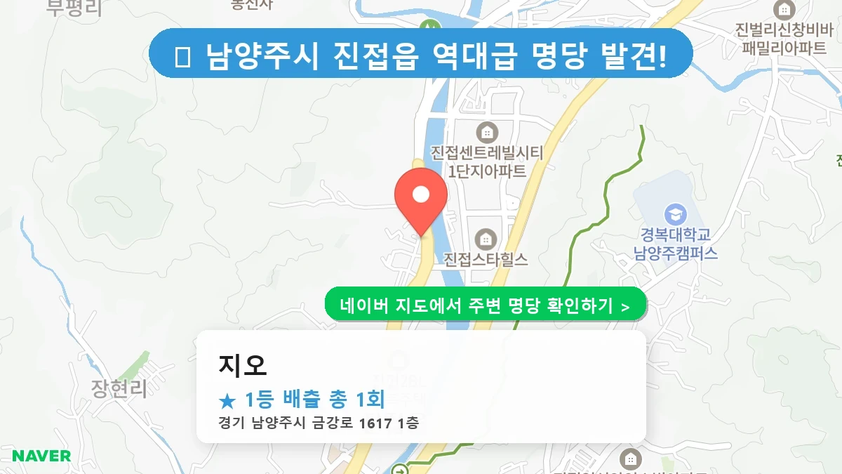 지오 네이버 지도