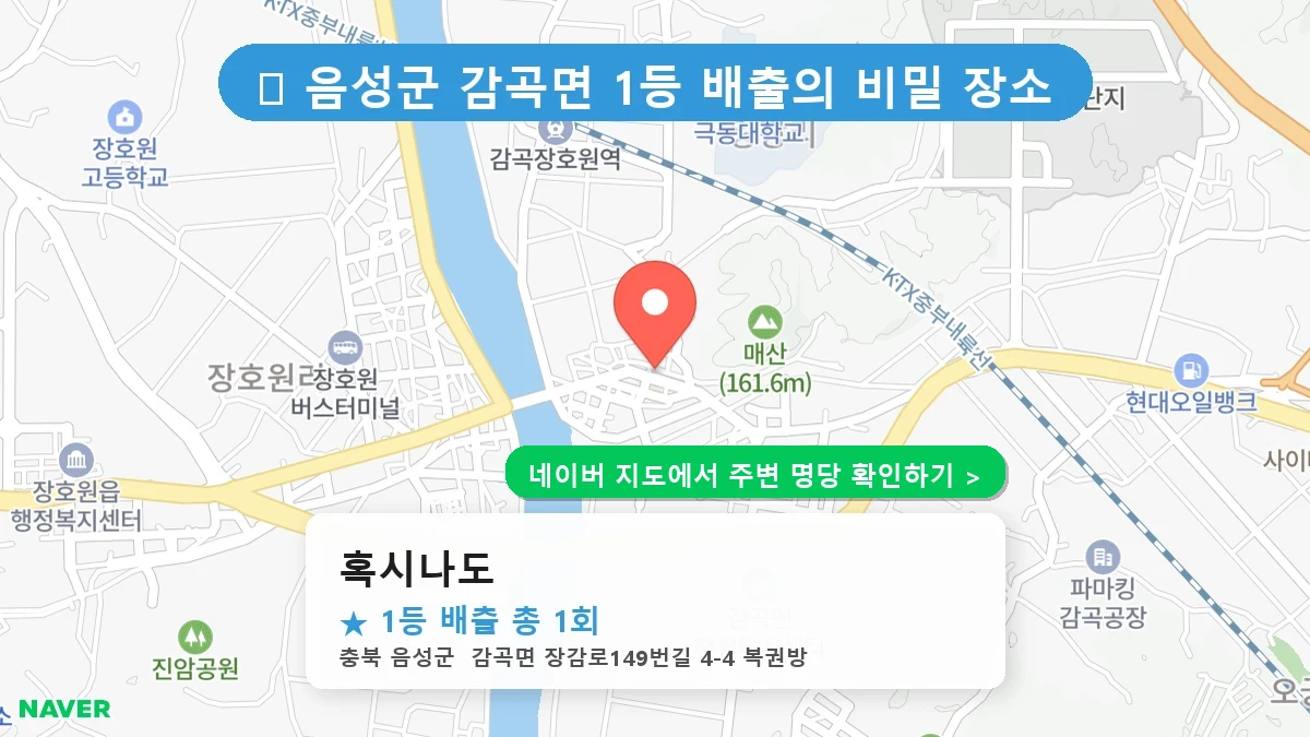 혹시나도 네이버 지도