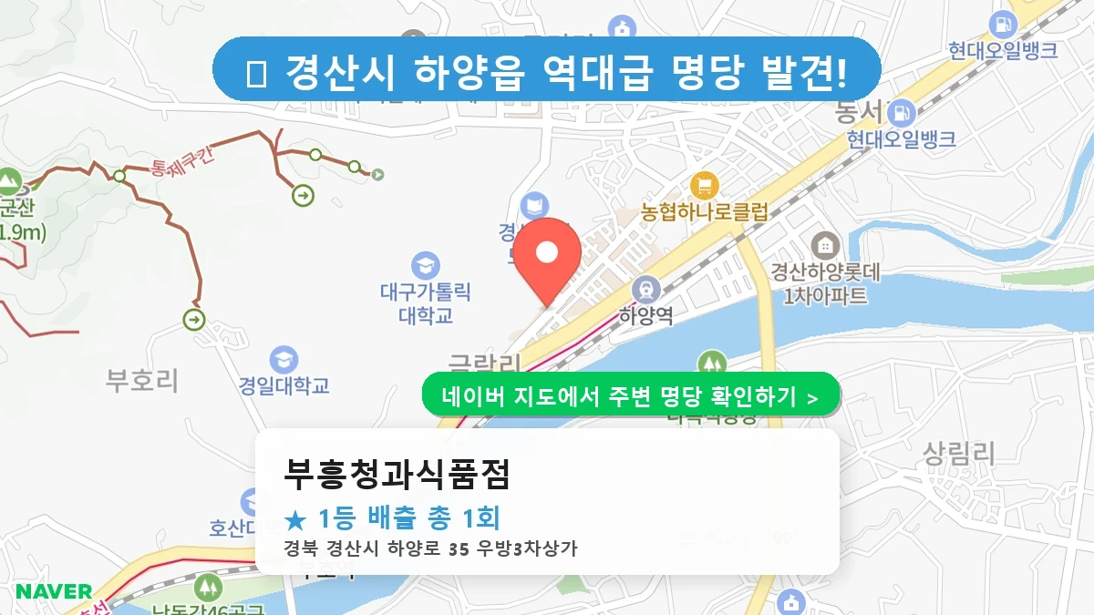 부흥청과식품점 네이버 지도