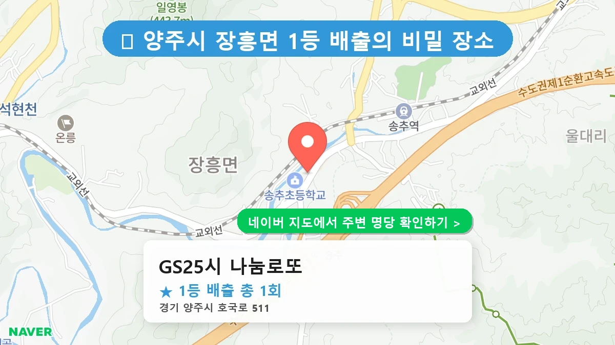 GS25시 나눔로또 네이버 지도