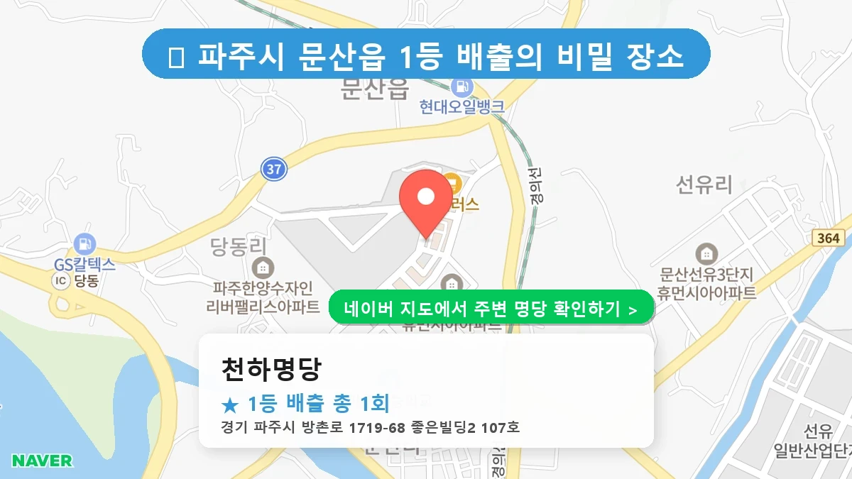 천하명당 네이버 지도