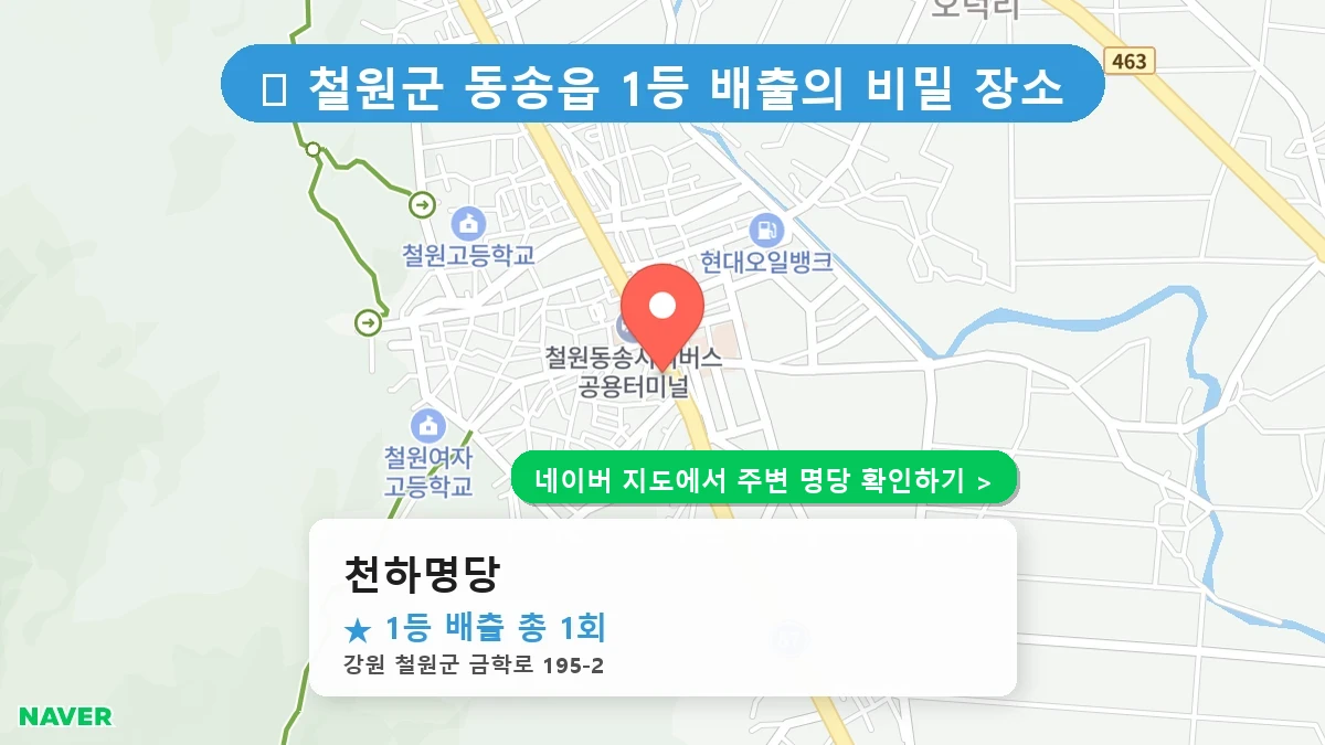 천하명당 네이버 지도