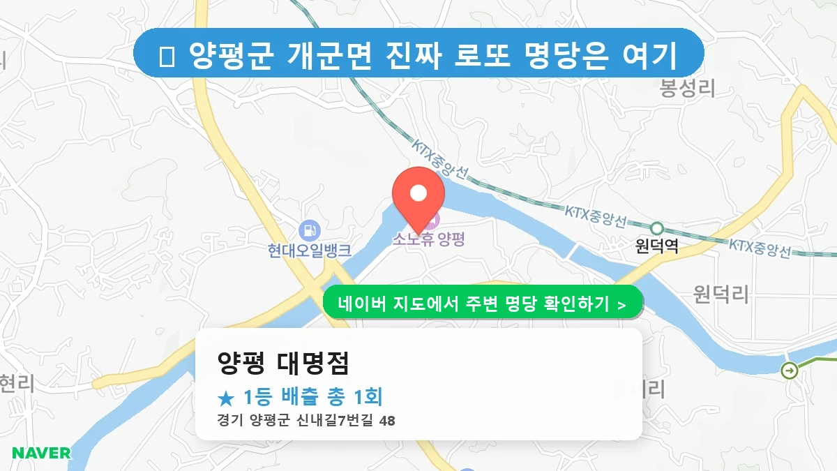 양평 대명점 네이버 지도