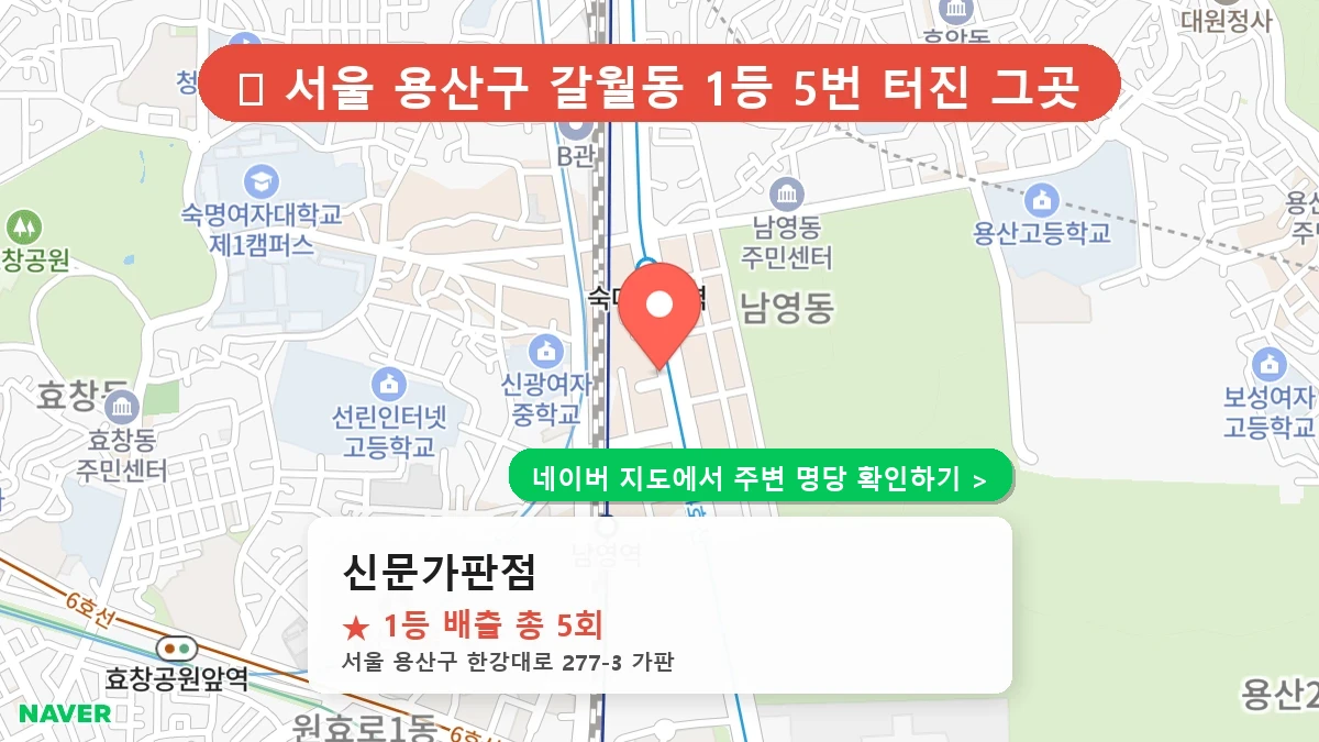 신문가판점 네이버 지도