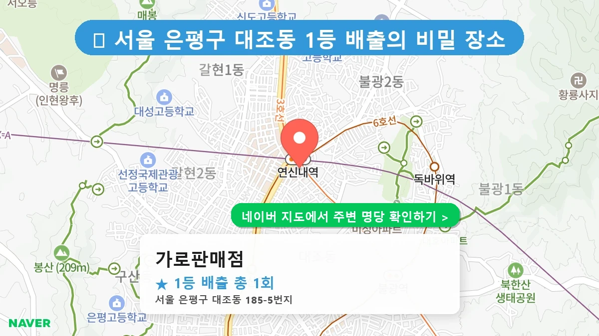 가로판매점 네이버 지도