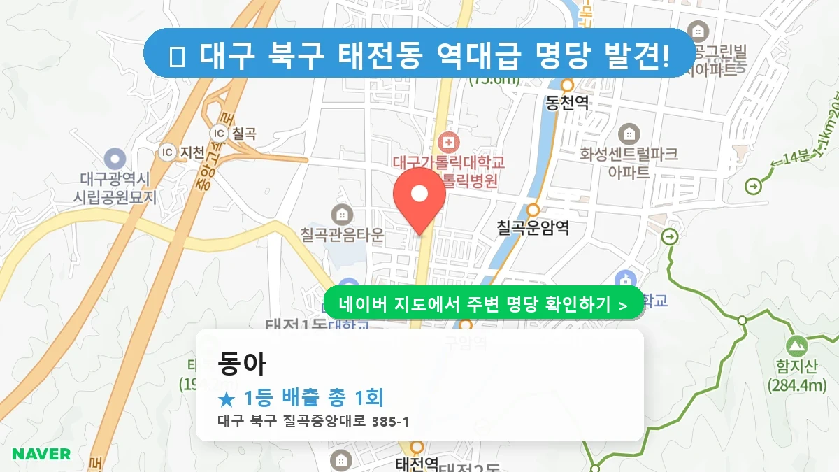 동아 네이버 지도