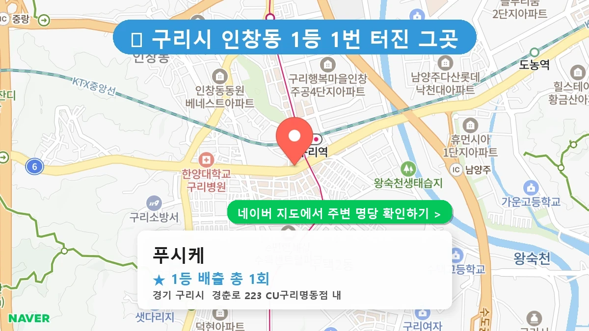 푸시케 네이버 지도