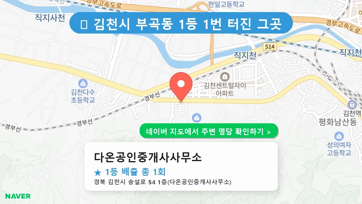 다온공인중개사사무소 네이버 지도