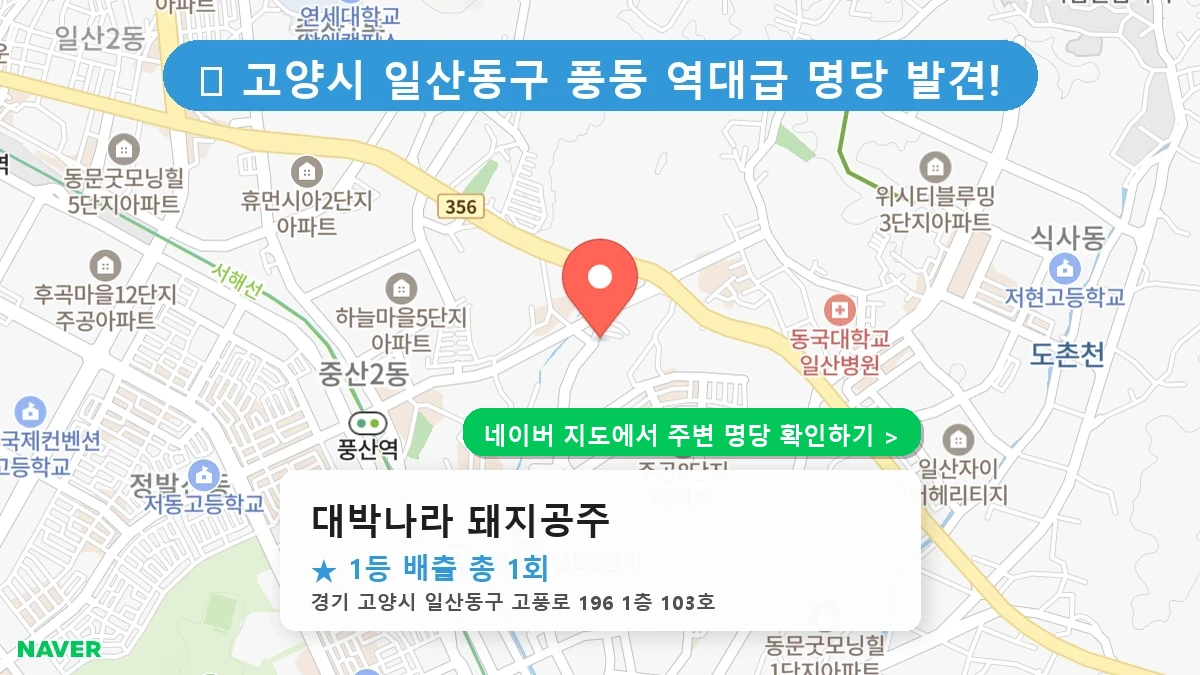대박나라 돼지공주 네이버 지도