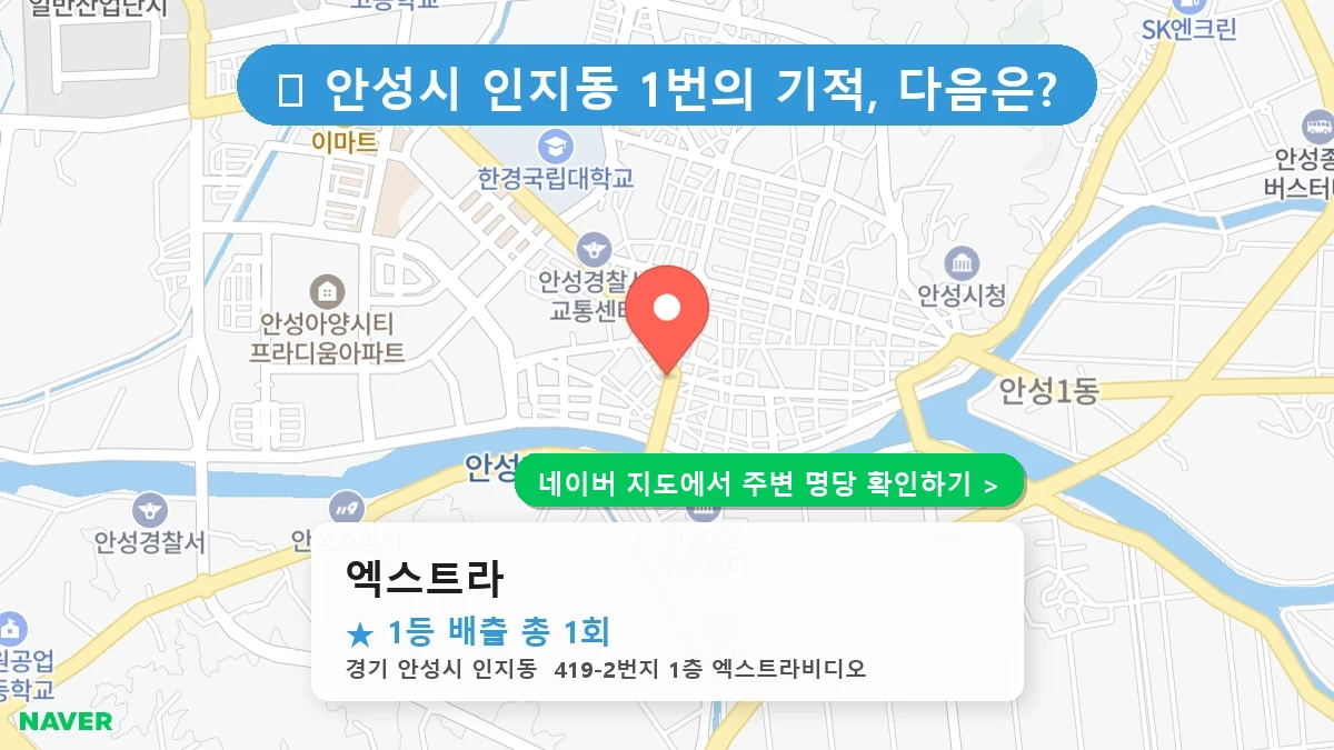 엑스트라 네이버 지도