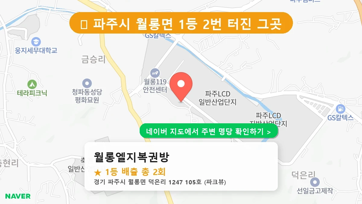 월롱엘지복권방 네이버 지도