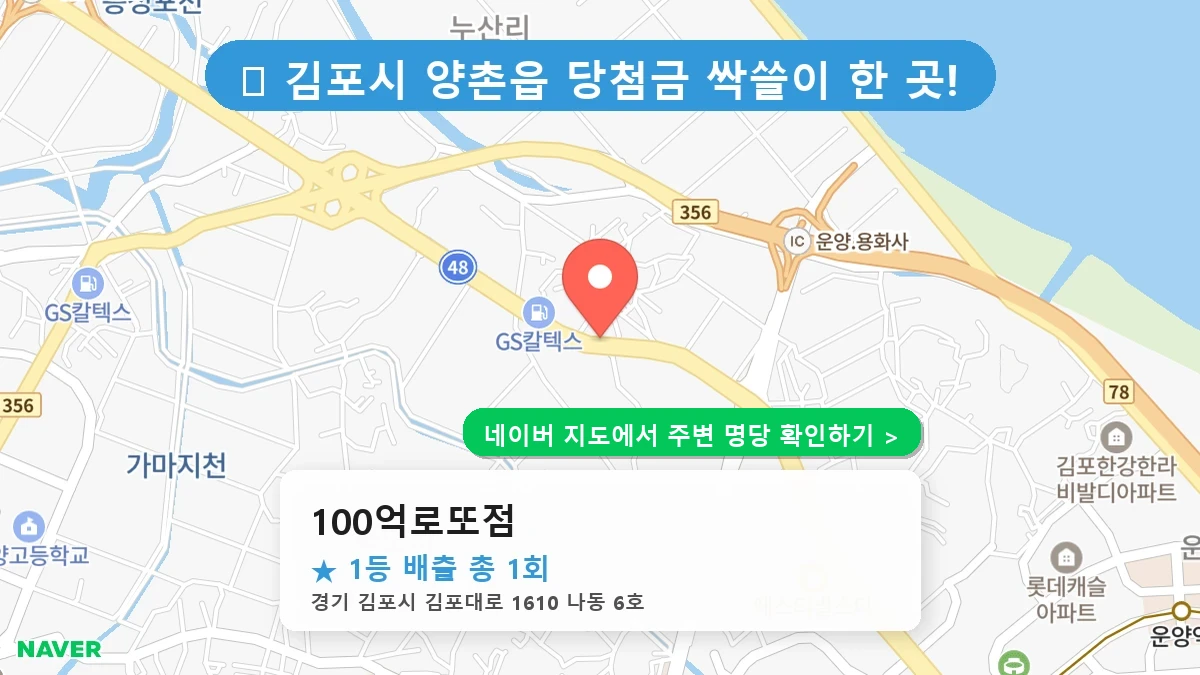 100억로또점 네이버 지도