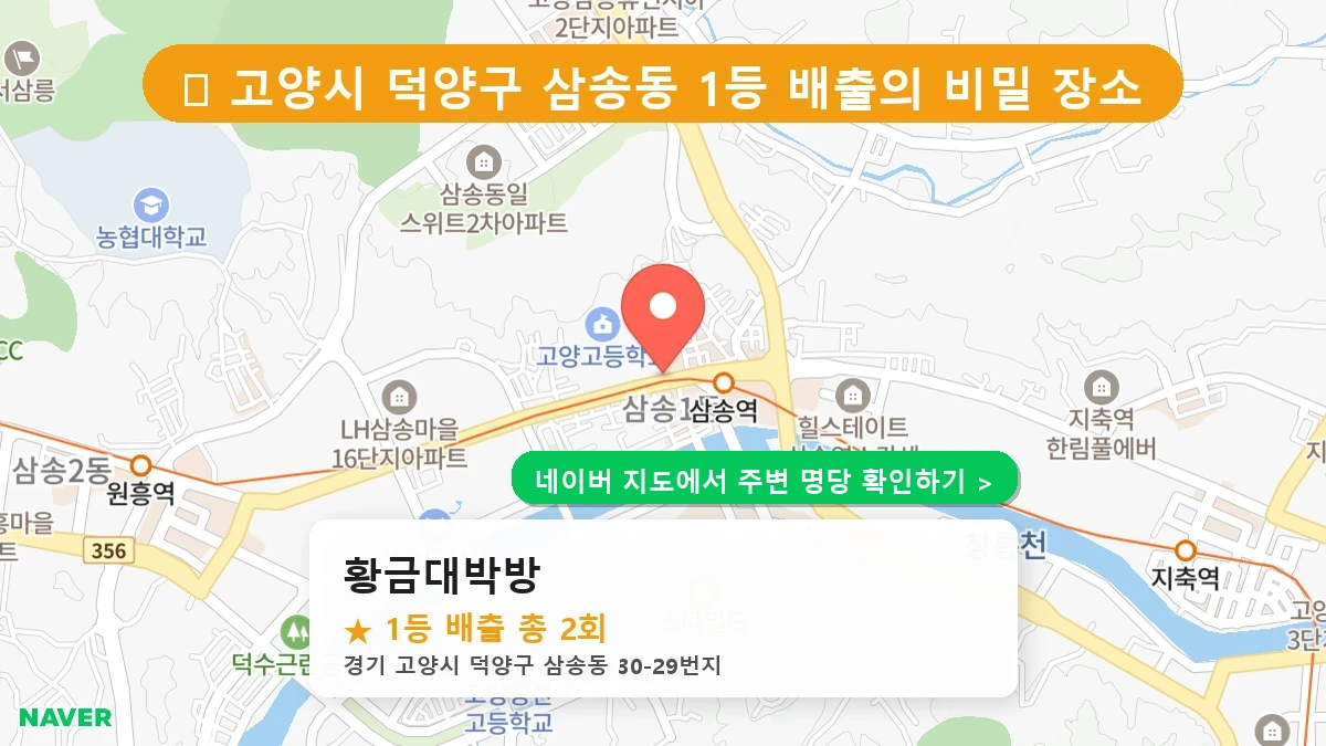 황금대박방 네이버 지도