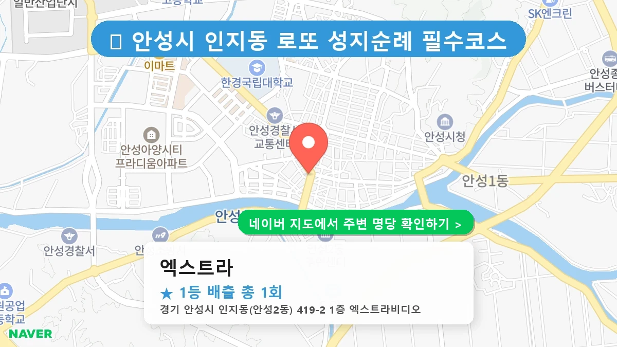 엑스트라 네이버 지도