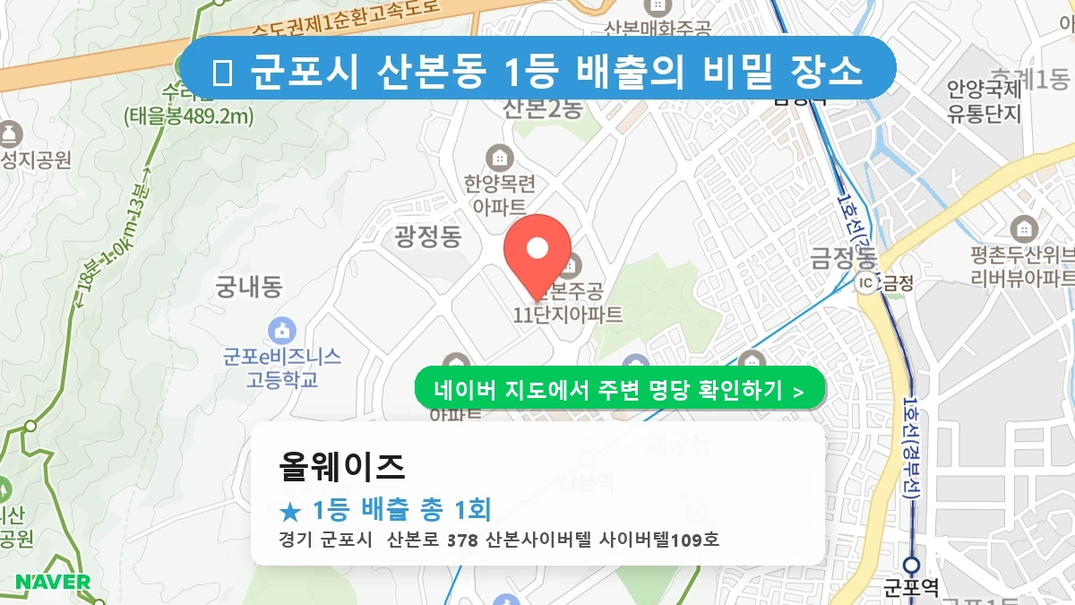 올웨이즈 네이버 지도