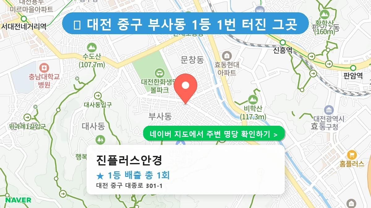 진플러스안경 네이버 지도