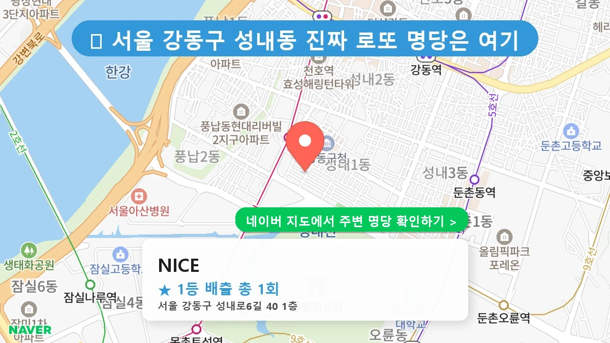 NICE 네이버 지도