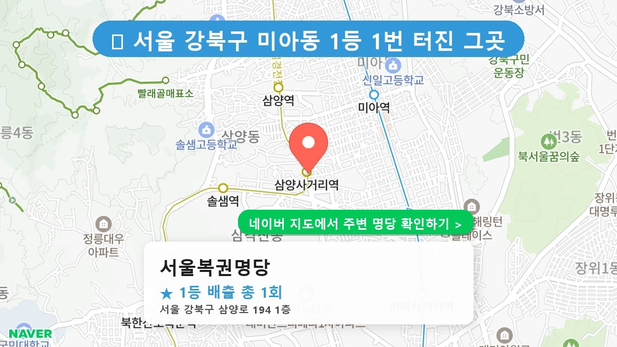 서울복권명당 네이버 지도