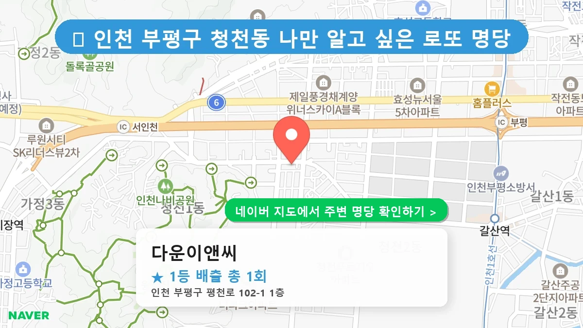 다운이앤씨 네이버 지도