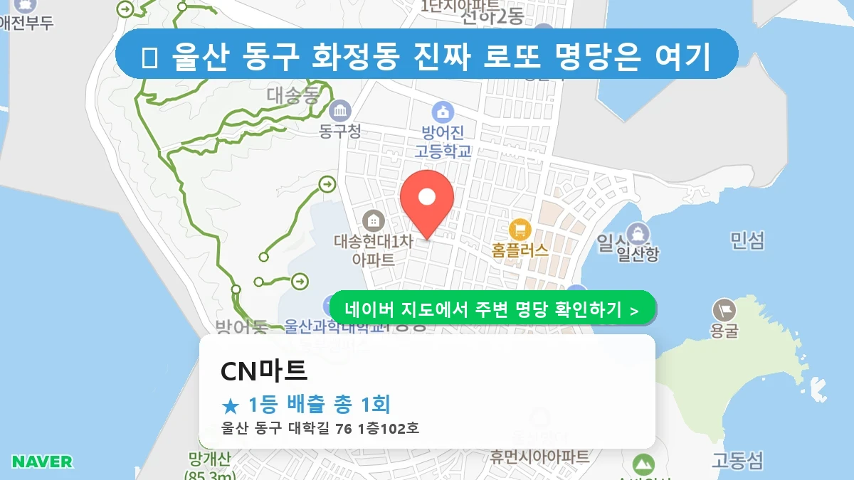 CN마트 네이버 지도