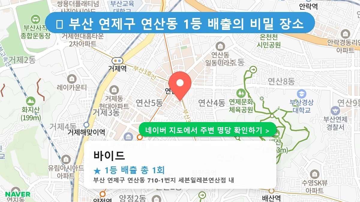 바이드 네이버 지도