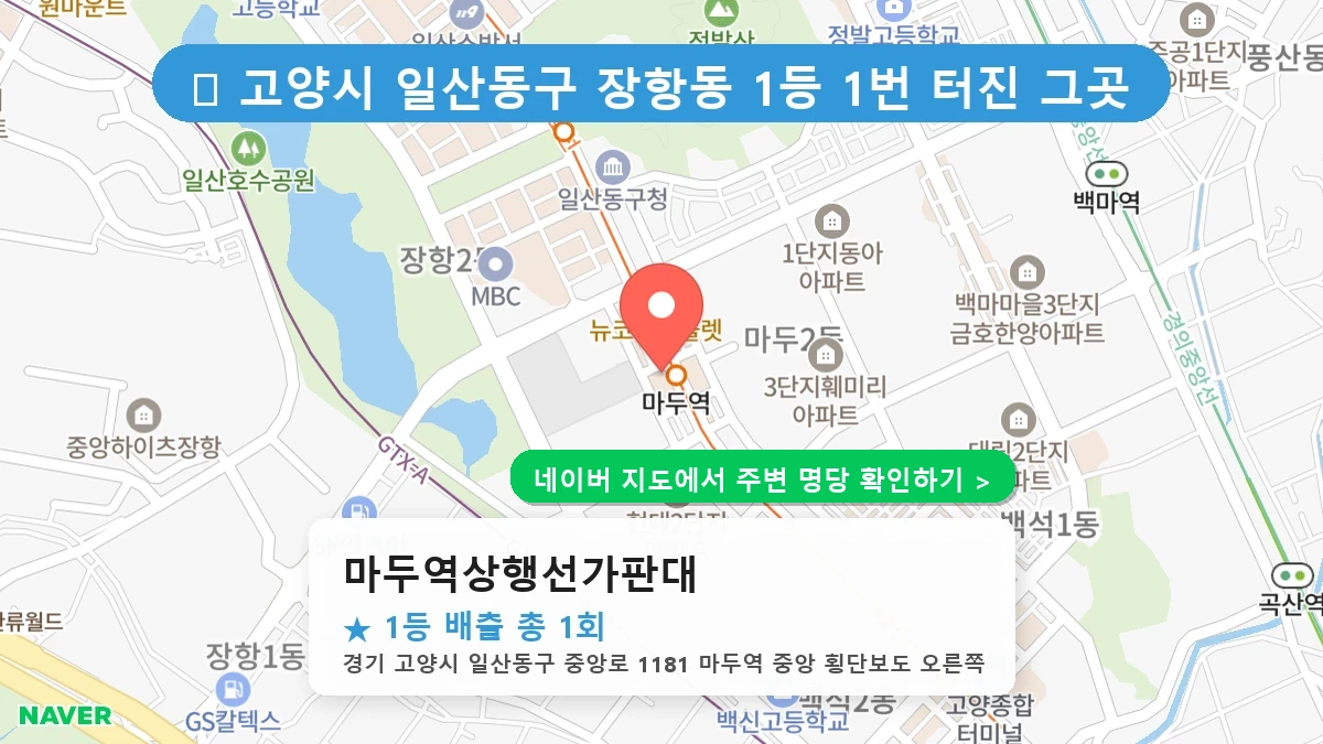 마두역상행선가판대 네이버 지도