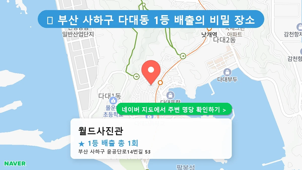 월드사진관 네이버 지도