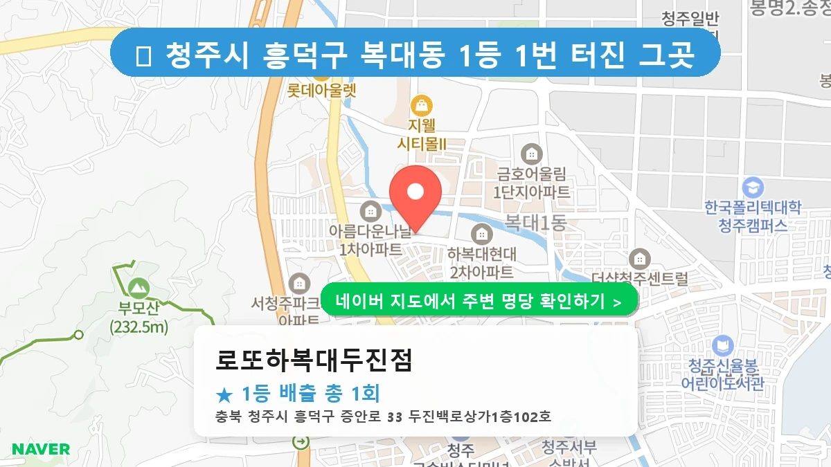 로또하복대두진점 네이버 지도