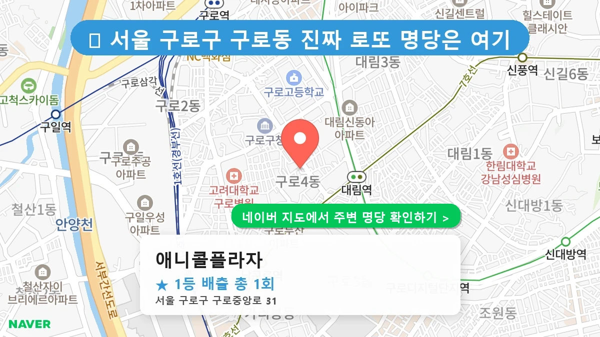 애니콜플라자 네이버 지도