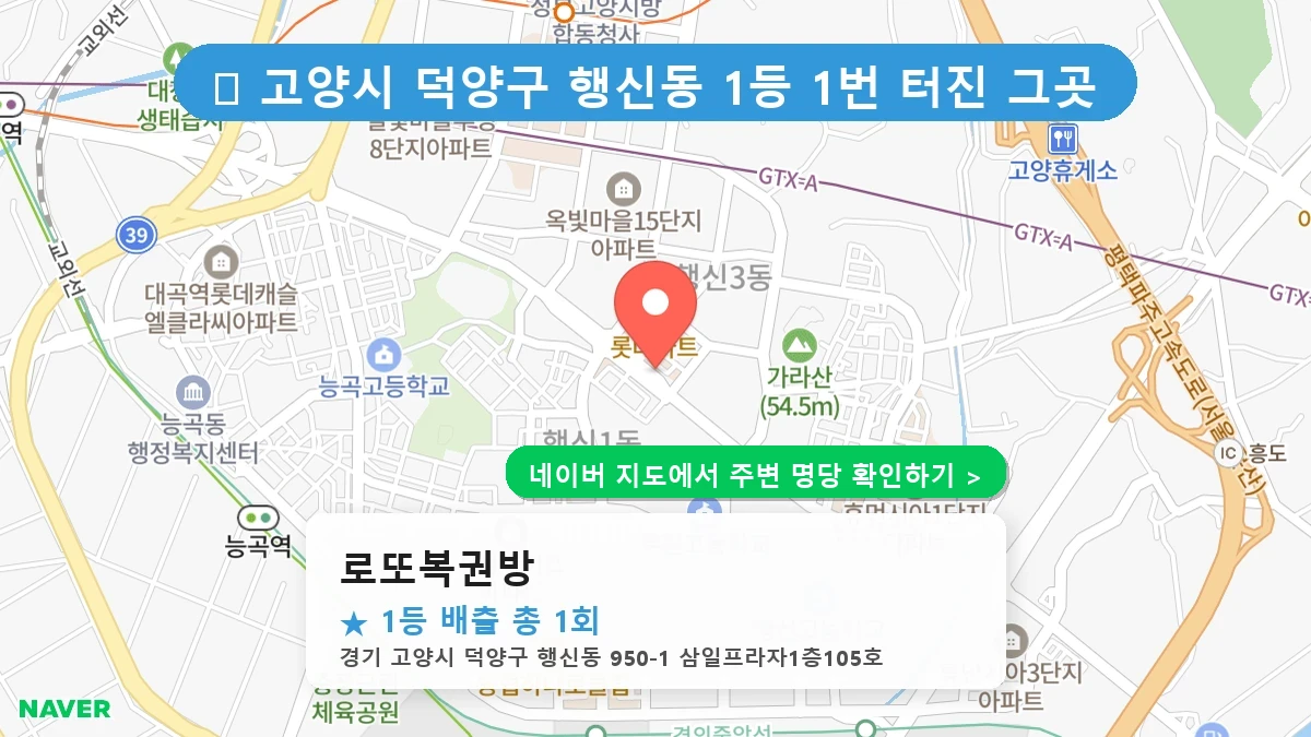 로또복권방 네이버 지도