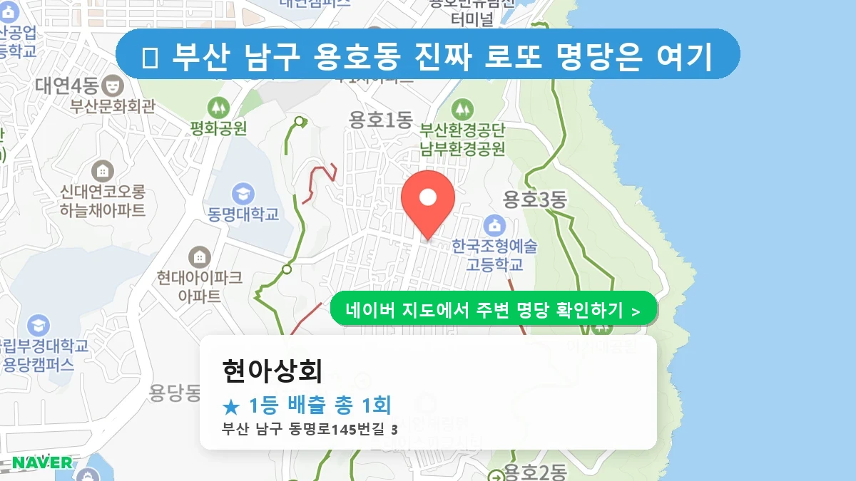 현아상회 네이버 지도
