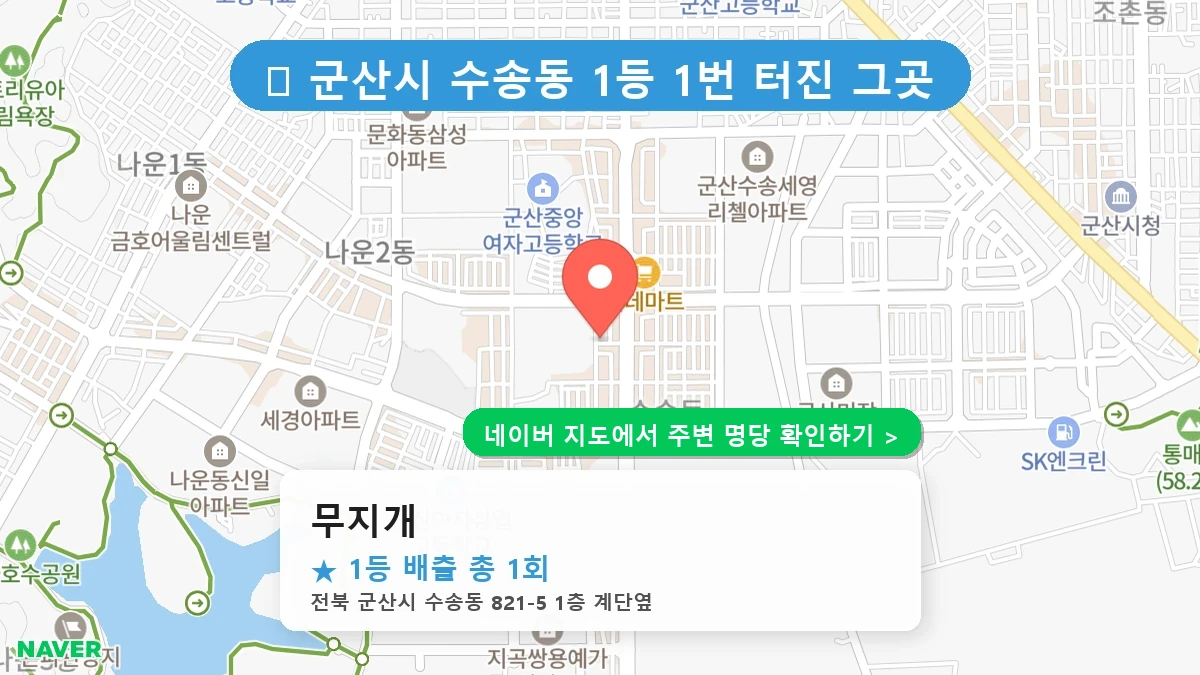 무지개 네이버 지도