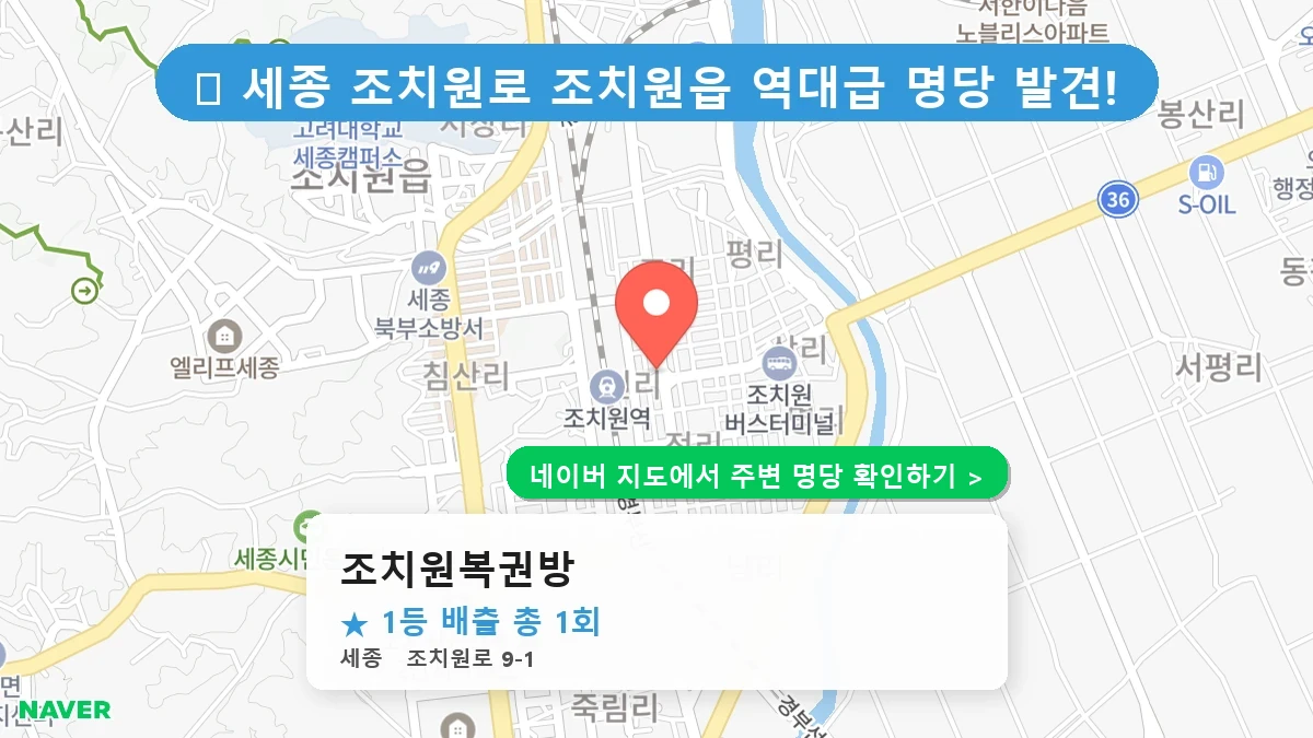 조치원복권방 네이버 지도