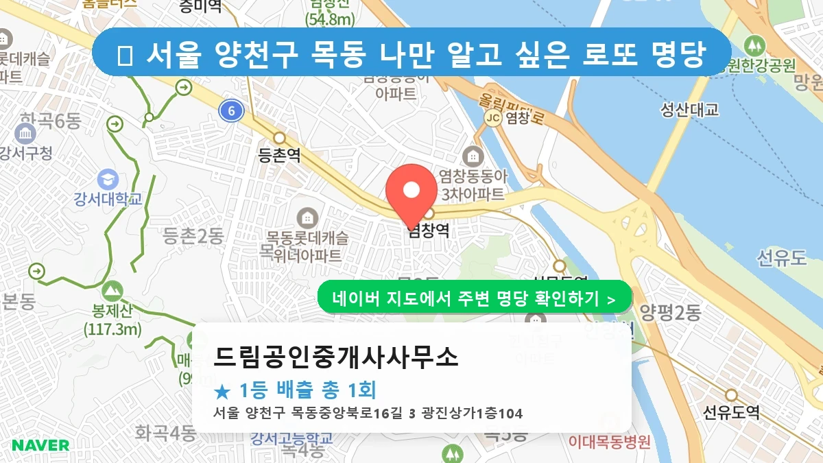 드림공인중개사사무소 네이버 지도