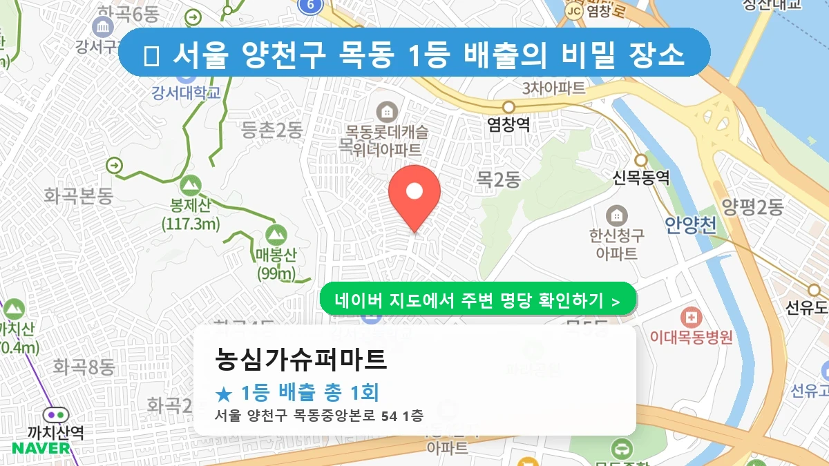 농심가슈퍼마트 네이버 지도