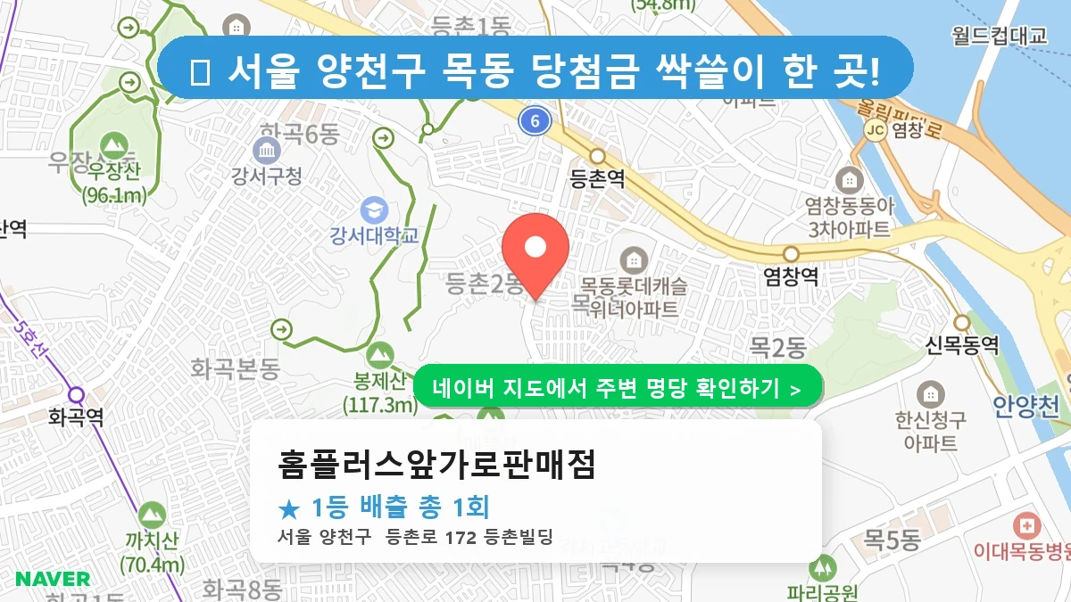 홈플러스앞가로판매점 네이버 지도