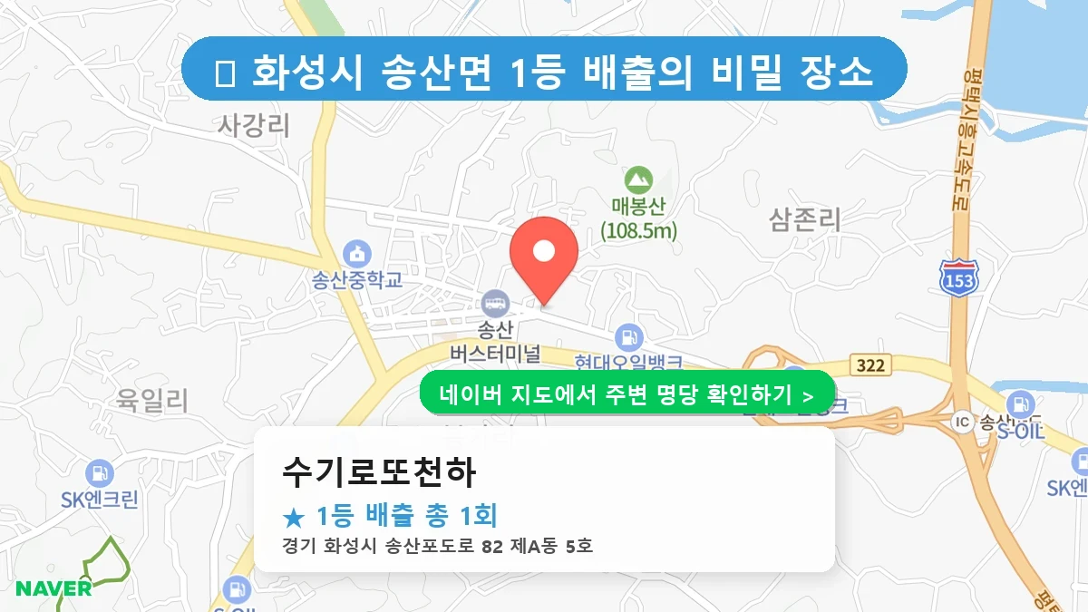 수기로또천하 네이버 지도
