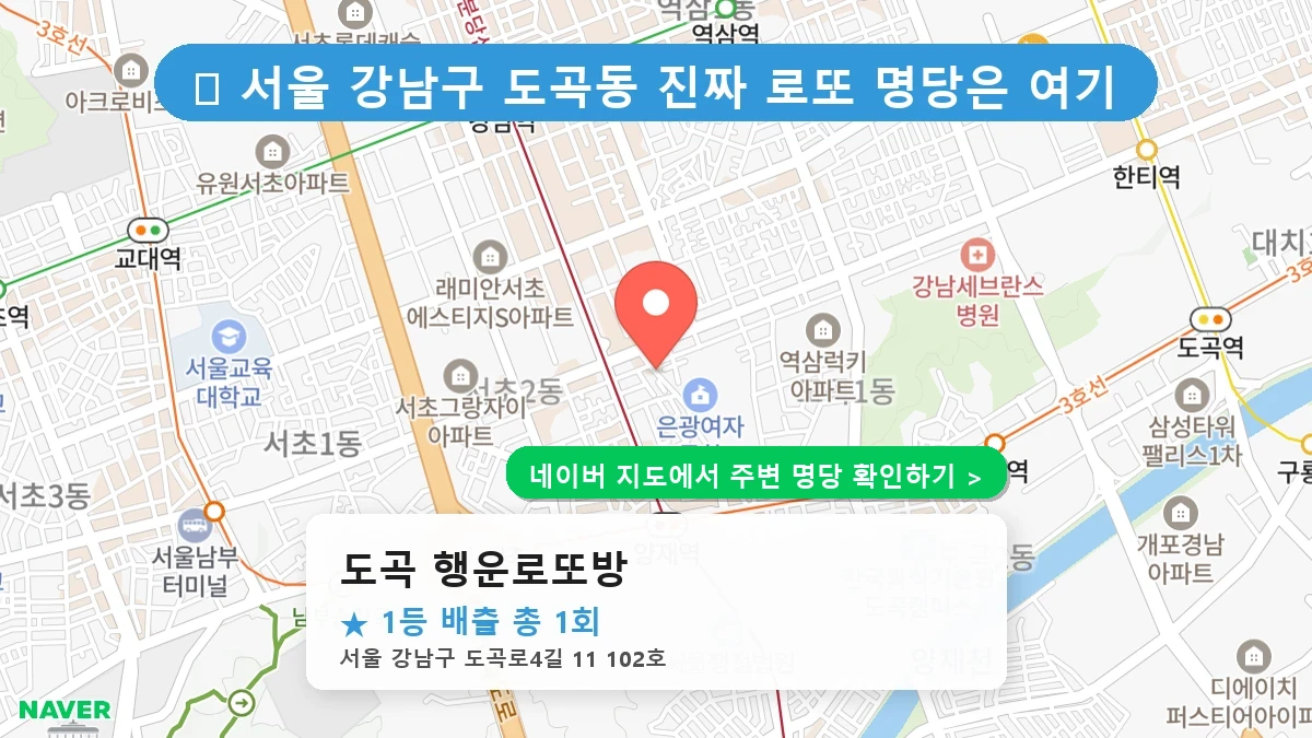 도곡 행운로또방 네이버 지도
