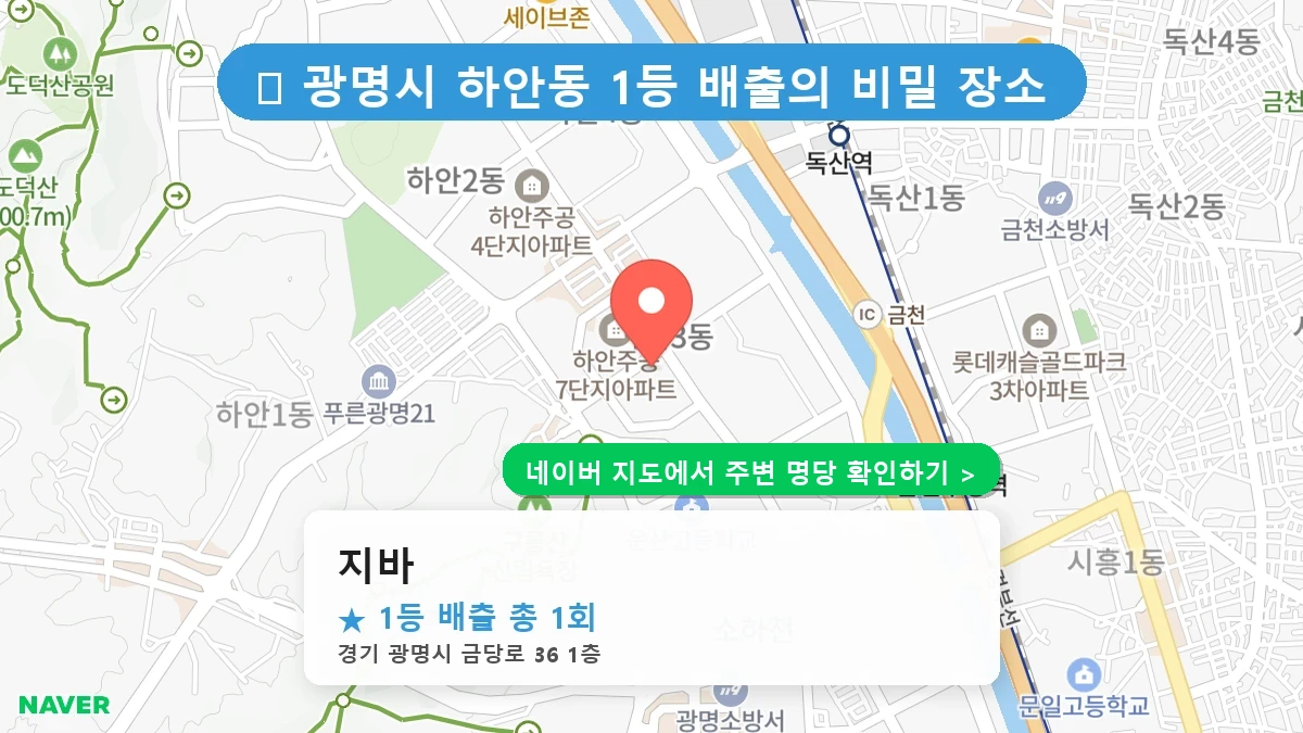 지바 네이버 지도